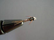 TNT Pheasant