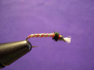 Candy Cane Chironomid
