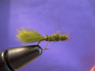 Catatonic Leech