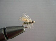 Elk Hair Caddis