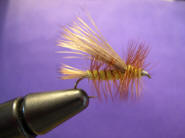 Stimulator
