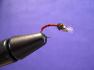 Basic Thread Chironomid