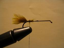 http://www.westernsportfishing.ca/IMG_0074.jpg