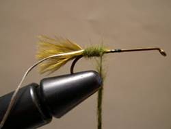 http://www.westernsportfishing.ca/DSCN1042.jpg