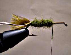 http://www.westernsportfishing.ca/DSCN1043.jpg