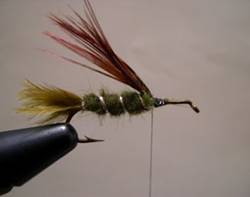 http://www.westernsportfishing.ca/DSCN1045.jpg