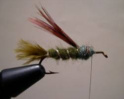 http://www.westernsportfishing.ca/DSCN1047.jpg