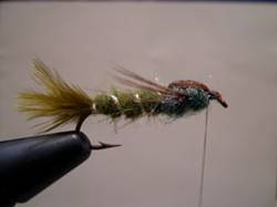 http://www.westernsportfishing.ca/DSCN1050.jpg