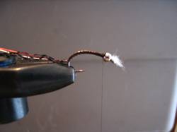 Step 3