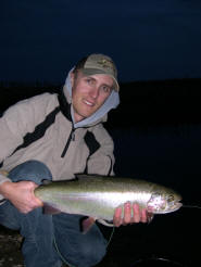 Backswimmer Water Boatmen caught Trout