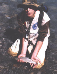 http://www.westernsportfishing.ca/cutt2_small1.jpg