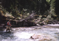 http://www.westernsportfishing.ca/eponriver_small1.jpg