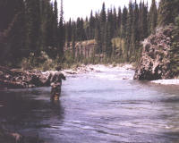 Trevor fishing the Bighorn
